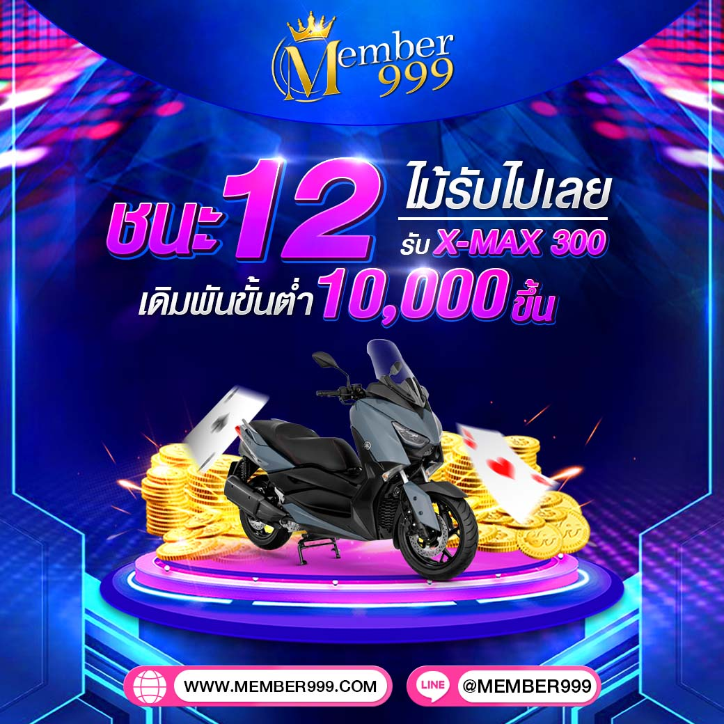 Betflixfin เว็บเดิมพันออนไลน์ ที่มั่นคง มอบความสนุกเต็มรูปแบบ