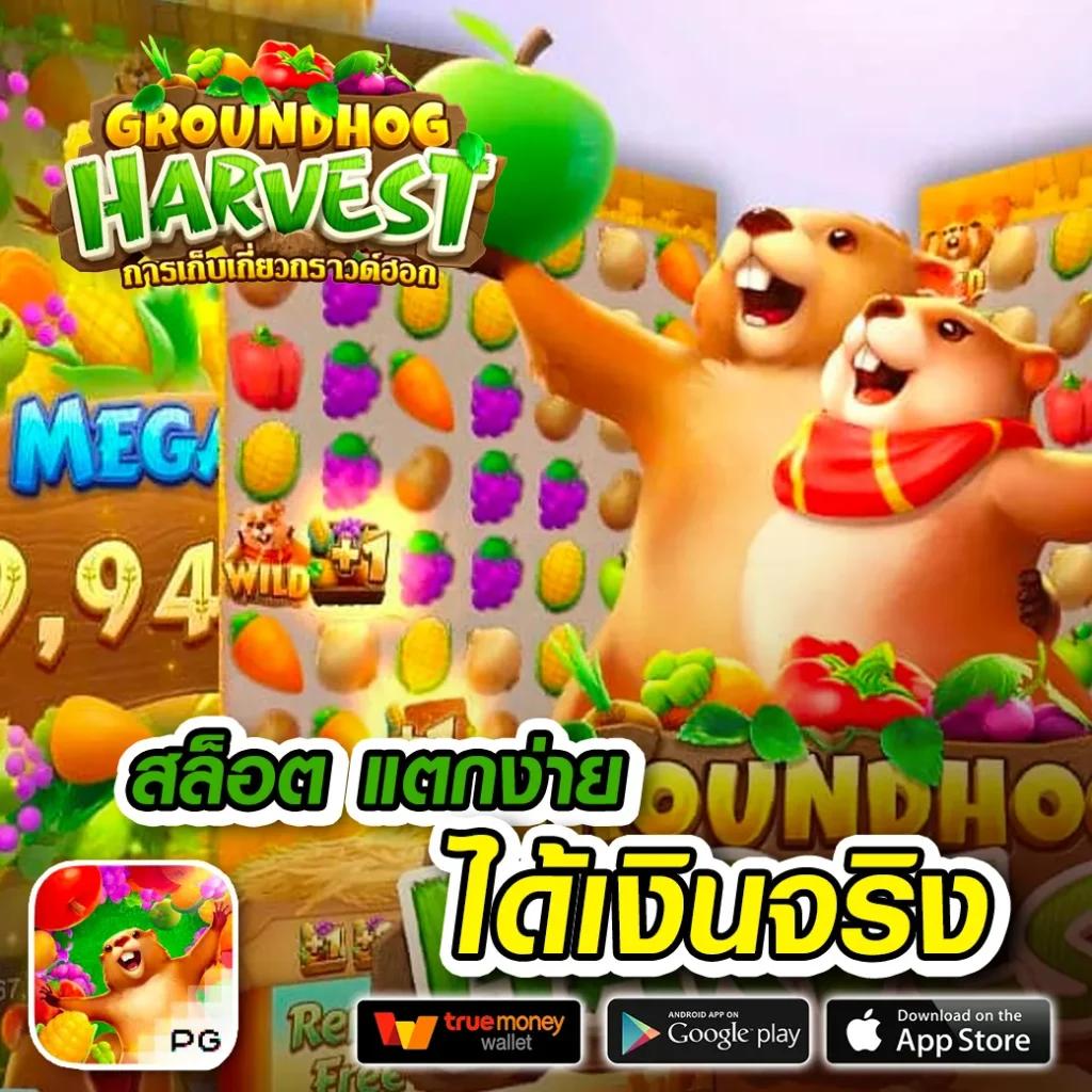 z1688 คาสิโนครบวงจร ระบบทันสมัย เล่นง่าย จ่ายจริง