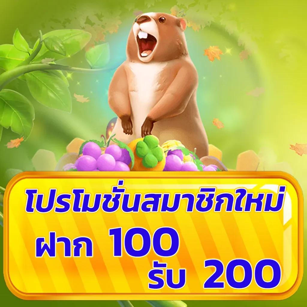 ดูบอลสด888 โบนัสแตกง่าย ดีไซน์ใหม่ 2024 เล่นได้ทุกที่
