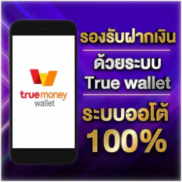 เดิมพันฟุตบอลสดกับ ผลบอลสดเดอะสกอร์ ครบทุกลีกดังในไทย