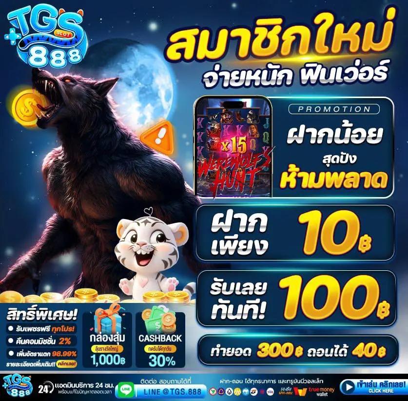 ไทเกอร์777 เว็บคาสิโนออนไลน์ ระบบทันสมัย ตอบโจทย์นักพนันยุคใหม่